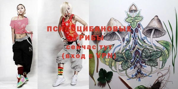скорость Абаза
