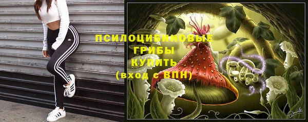 скорость Абаза