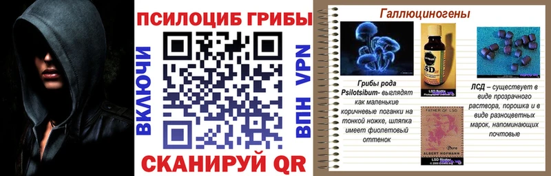 где найти наркотики  Нефтеюганск  Галлюциногенные грибы Magic Shrooms 
